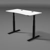 Electric Standing Desk