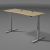 Stand Up Sit Down Desk