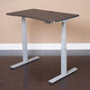 Electric Sit Stand Desk