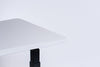 Electric Standing Desk