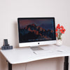 Electric Standing Desk